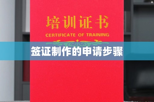 栾城签证制作的申请步骤